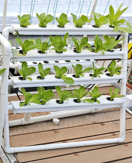 MINI sistema hidropónico verti - Hydroponic Nft Channel reseña y precio