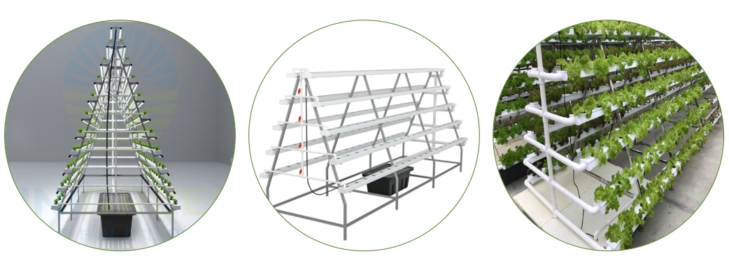 MINI sistema hidropónico verti - Hydroponic Nft Channel reseña y precio