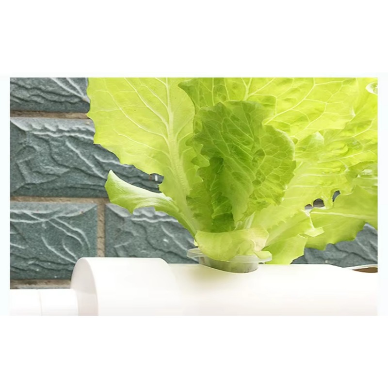 Sistema Hidropónico NFT de Fác - Hydroponic Nft Channel reseña y precio