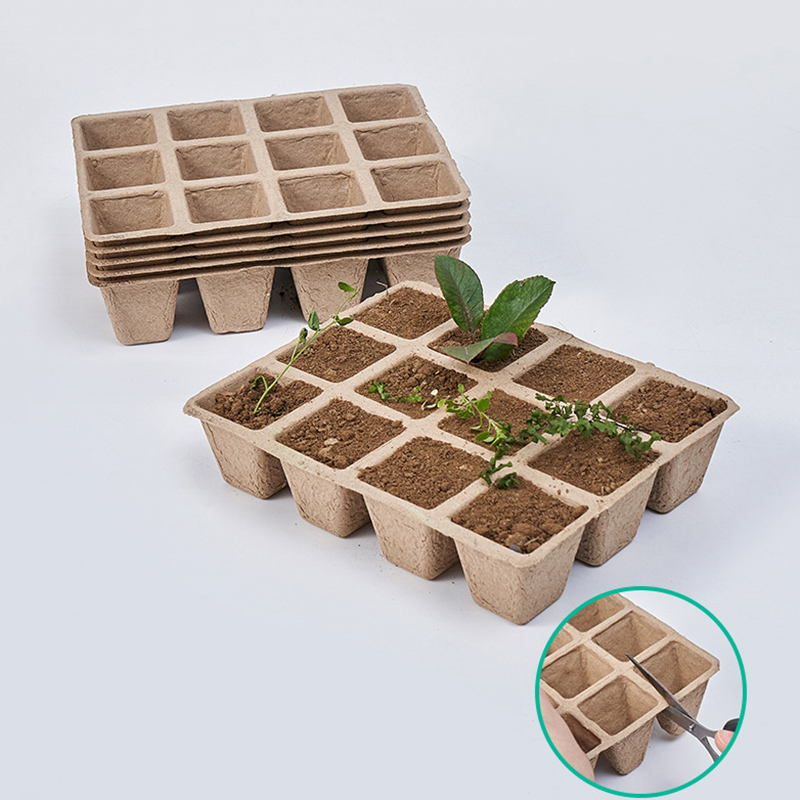 Bandeja de vivero de plantas d - Hydroponic Nft Channel reseña y precio