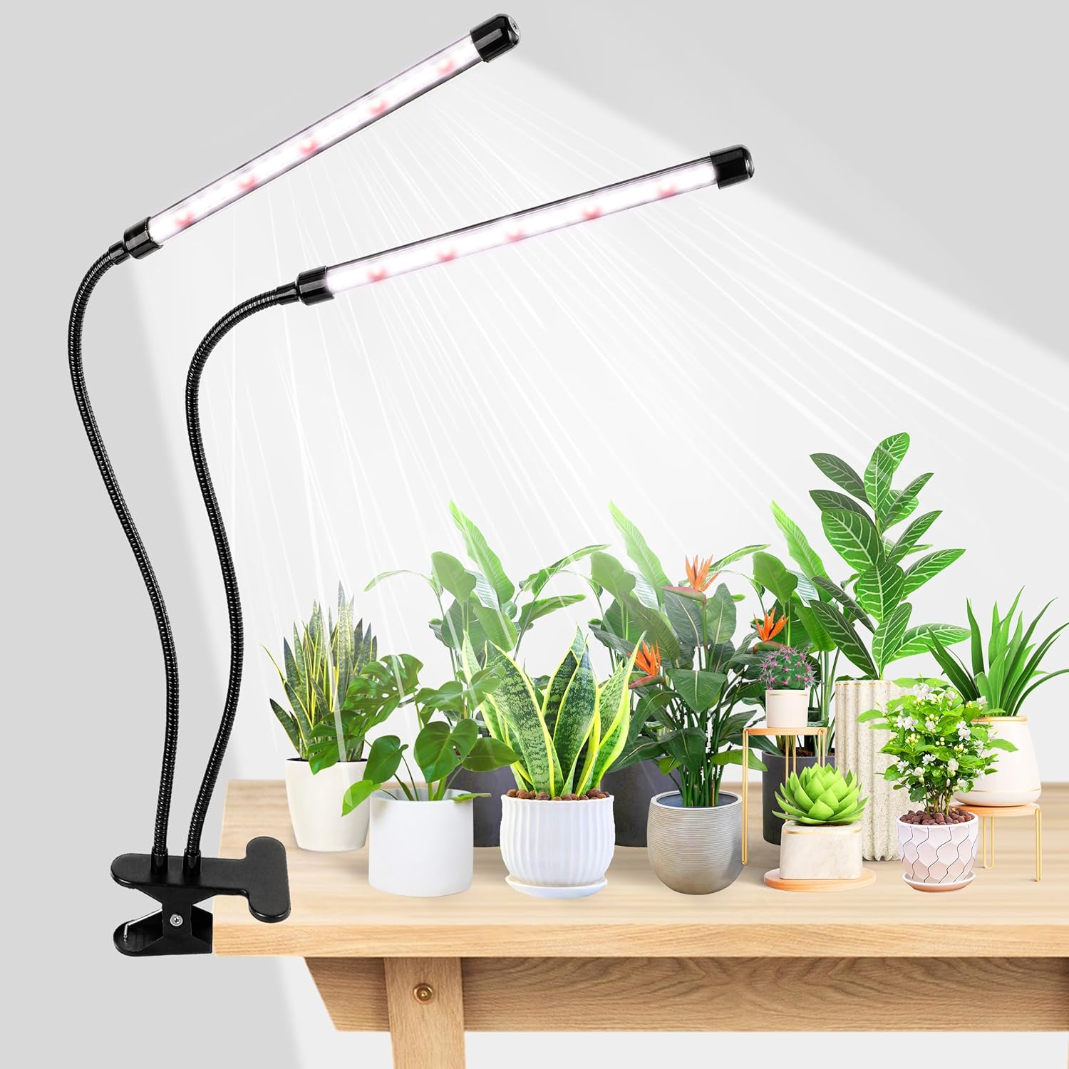 KEBINCPLED Lámpara LED de crec - Hydroponic Nft Channel reseña y precio