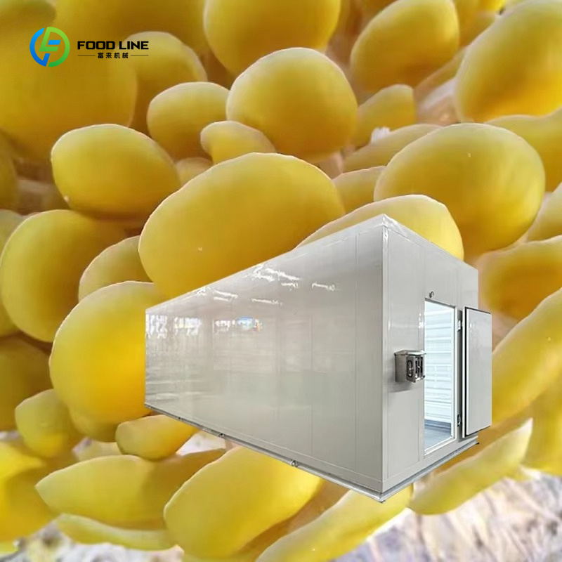 Cápsula Inteligente para Culti - Smart Farming Technology In Agriculture reseña y precio
