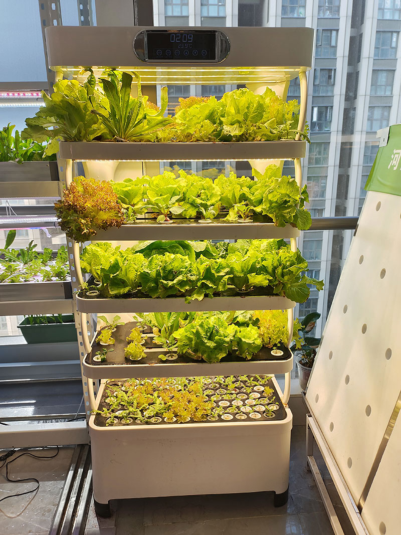 c Máquina agrícola para cultiv - Farming Agriculture Equipment reseña y precio