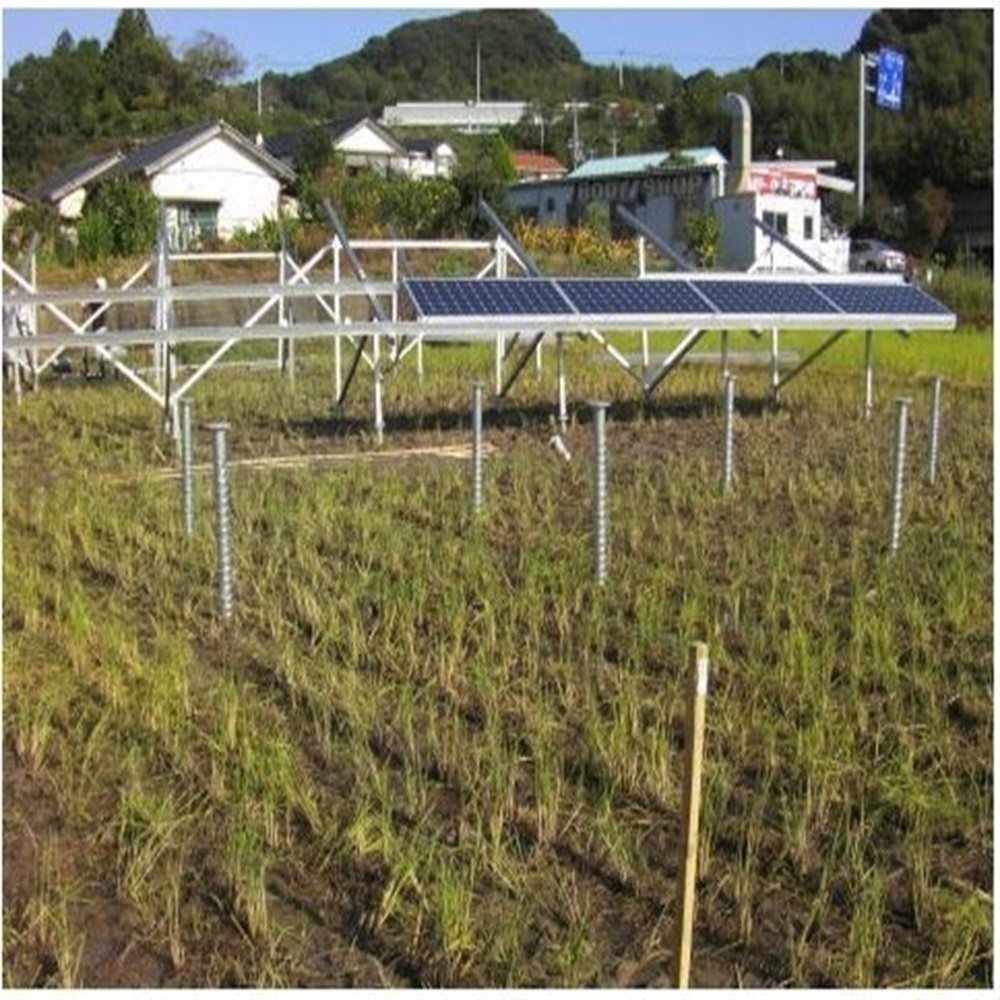 Diseño de Granja Solar Comerci - Agriculture.Farming Design reseña y precio