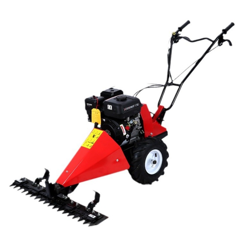Cortadora de Césped de 6.5Hp y - Us Agriculture Farming Job reseña y precio