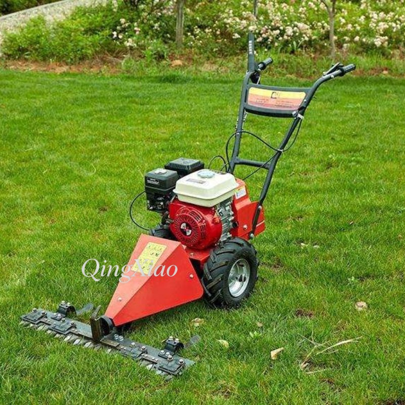 Cortadora de Césped de 6.5Hp y - Us Agriculture Farming Job reseña y precio